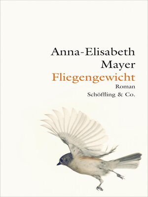 cover image of Fliegengewicht